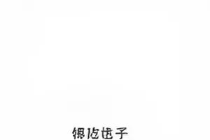 官方通稿逐句标注示意封面
